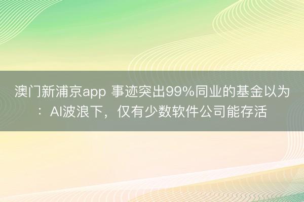 澳门新浦京app 事迹突出99%同业的基金以为：AI波浪下，仅有少数软件公司能存活