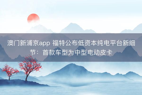 澳门新浦京app 福特公布低资本纯电平台新细节:首款车型为中型电动皮卡